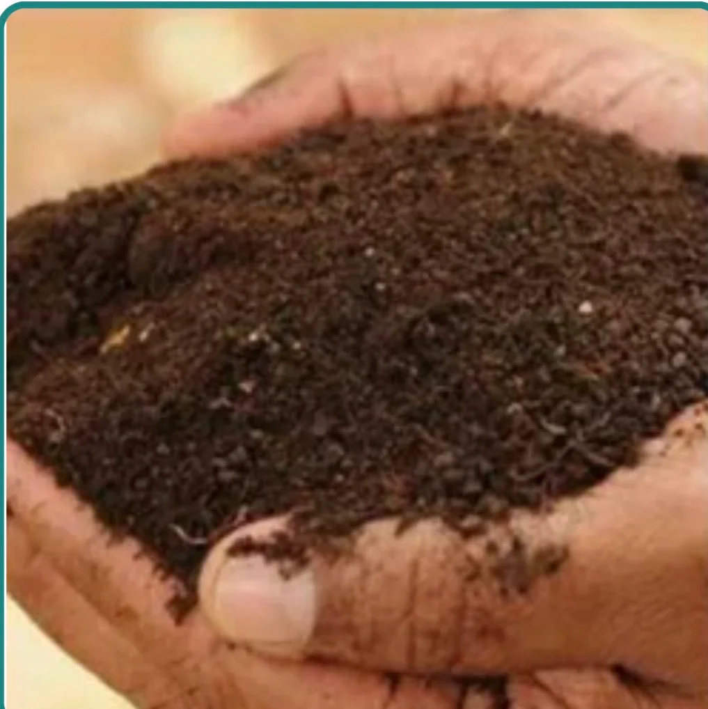 Organic Neem Cake Fertilizer Powder - Food & Agriculture by Vedikagri Pvt. Ltd.
