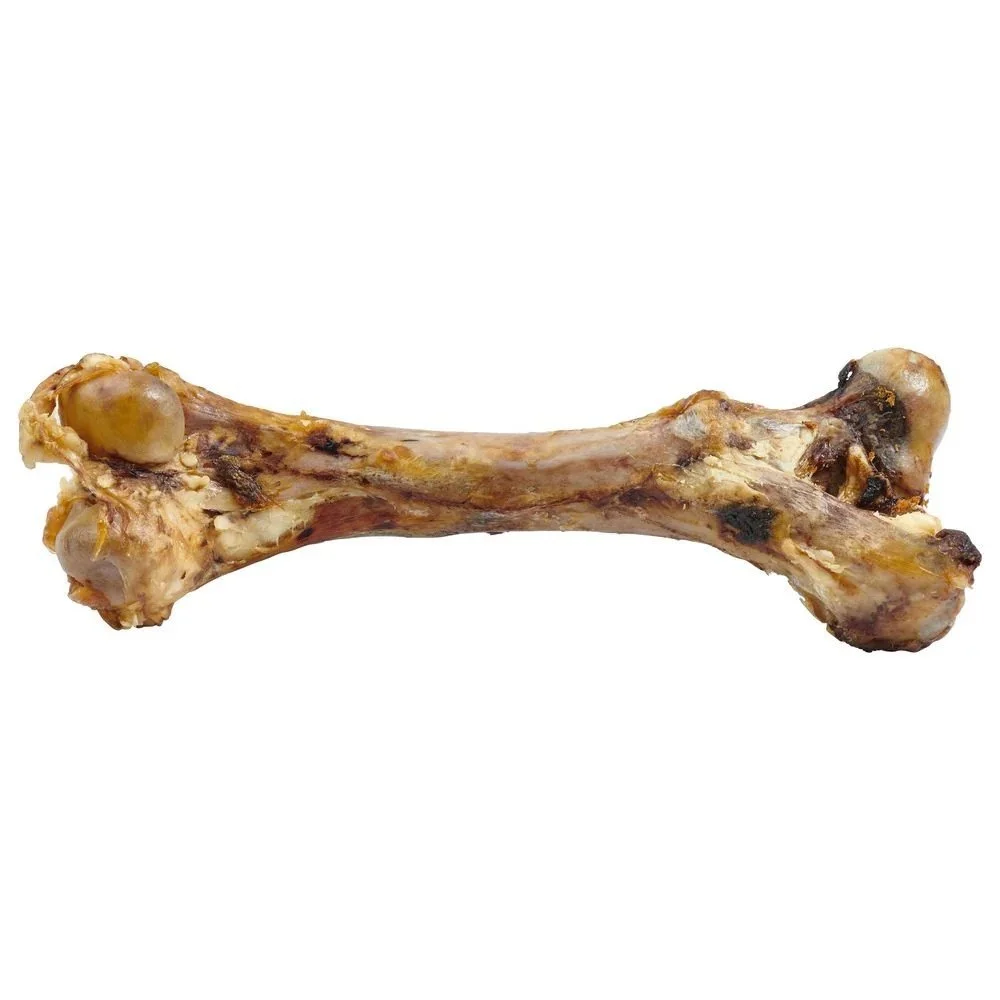 Femur Bone Jumbo - Handicrafts & Gifts by Vee Gee Enterprises