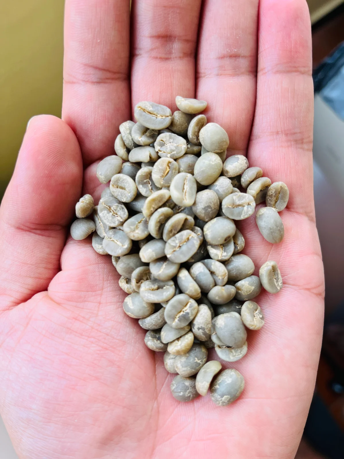 Arabica Plantation Aaa Green Coffee Beans - Food & Agriculture by Naadra LLP