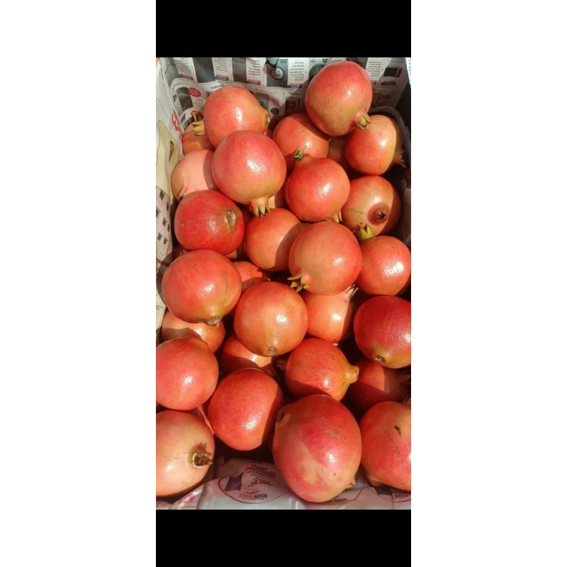 Pomegranates - Food & Agriculture by Mohit Exim Sources