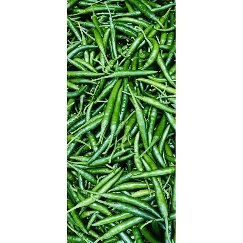 Wholesale Green Chilli - Food & Agriculture by Mohit Exim Sources