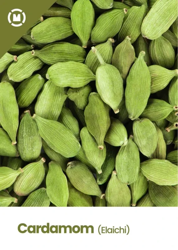 Karnataka Green Cardamom Bulk - Food & Agriculture by M/S. GD Hebbar
