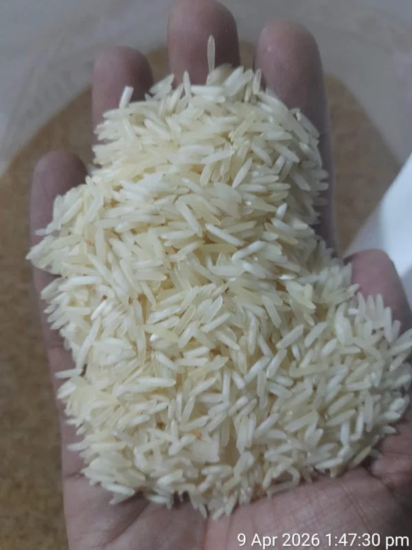 Basmati Rice (1121, 1718, 1509) Steam, White, Golden Sella - Food & Agriculture by M/S. GD Hebbar