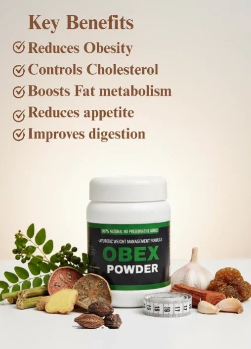 Obex Powder 100GM - Healthcare & Medical by Chamakkatt Herbal Products