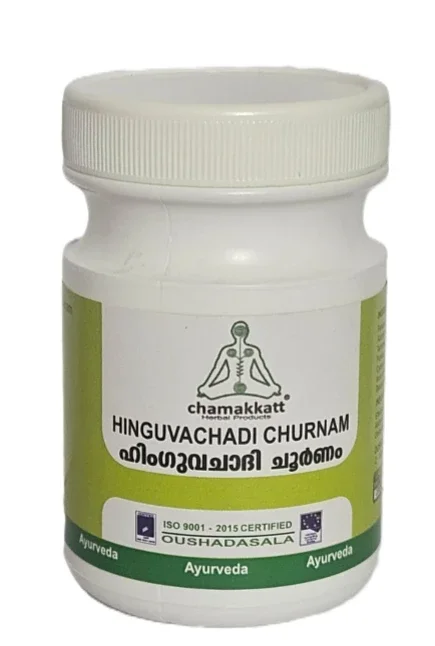 Hinguvachadi Churnam 50GM - Healthcare & Medical by Chamakkatt Herbal Products
