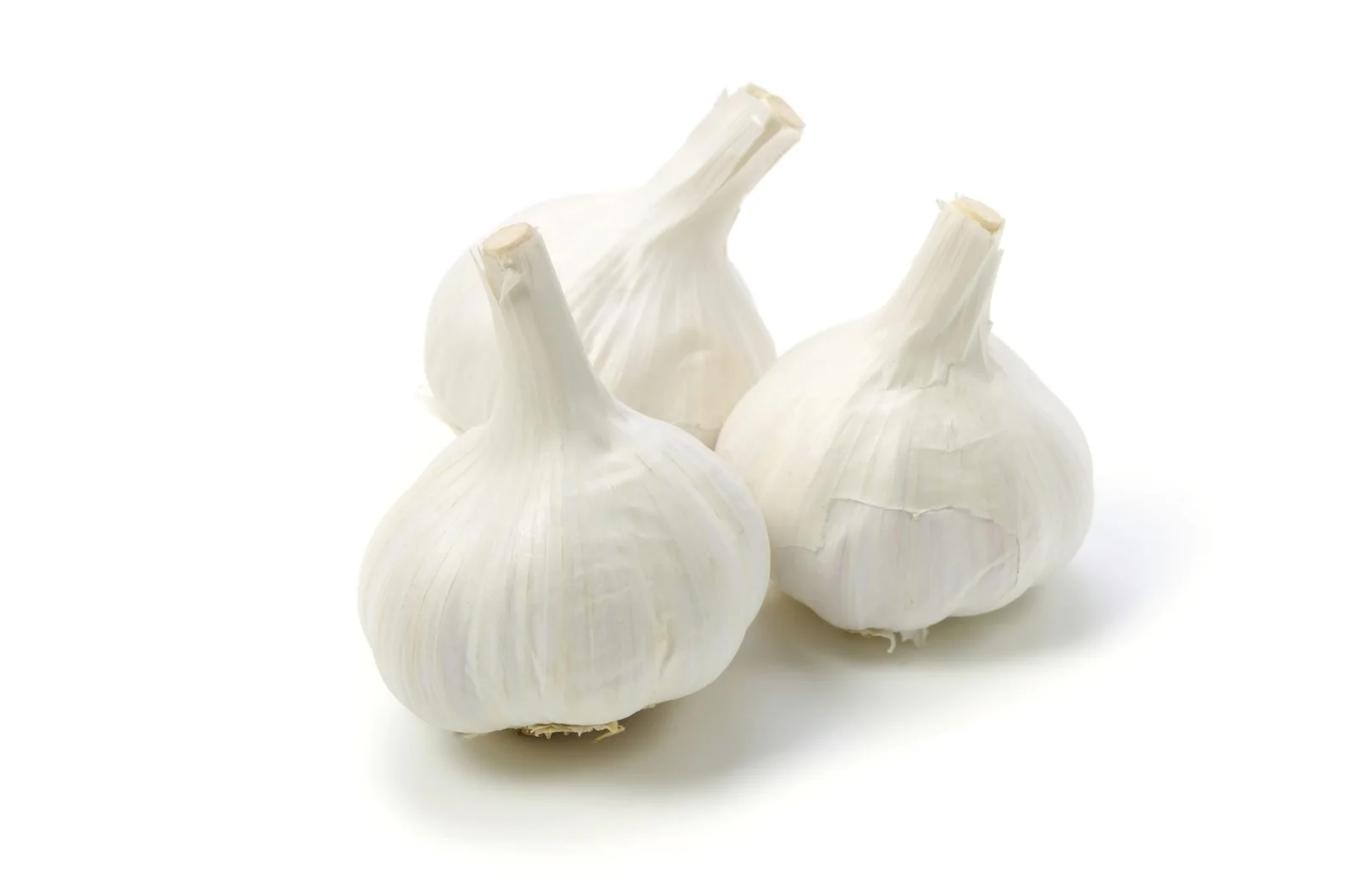 Premium Whole Garlic Bulbs - Food & Agriculture by The Greengold Exports and Imports Pvt. Ltd.
