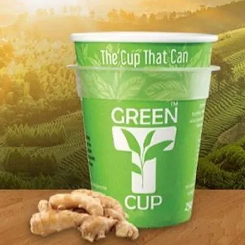 Ginger Green Tea Bags - Food & Agriculture by Royal Chikan Palace