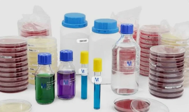 Microbiology Media - Healthcare & Medical by Vcal Gmp Solutions