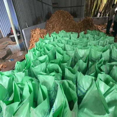 Pollachi Semi Husked Coconuts - Food & Agriculture by Vkm Agro Exports and Imports