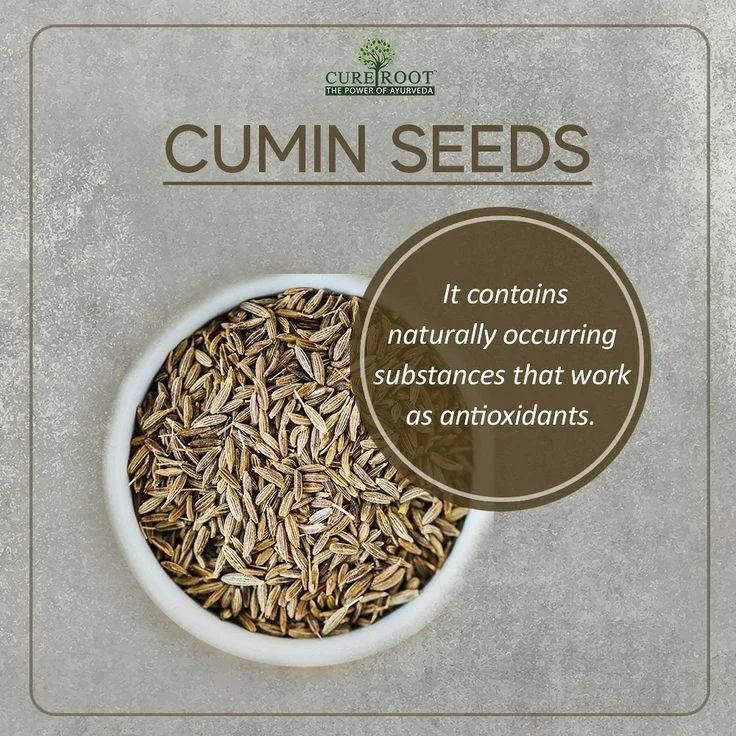 Indian Cumin Seeds - Food & Agriculture by Sakha Exporter