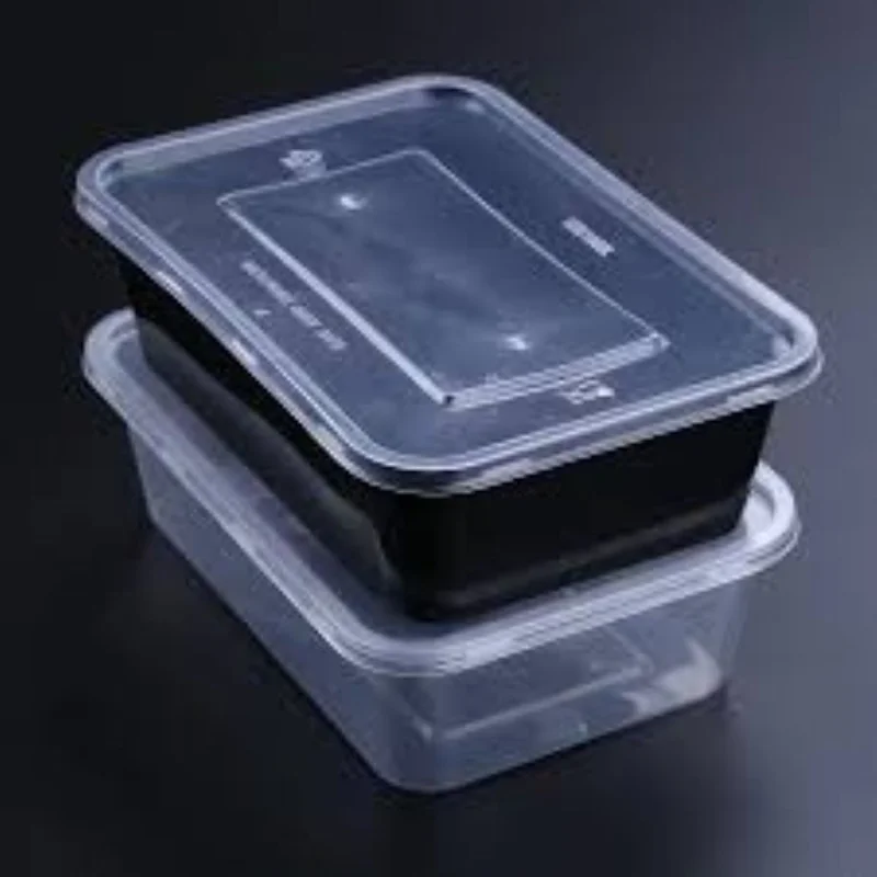 Disposable Plastic Food Containers - Packaging & Printing by Sree Ganesh Traders