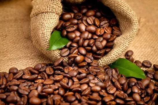 Arabica Coffee Beans Grade Aa for Bulk Supply - Food & Agriculture by Anlee Export Venture LLP