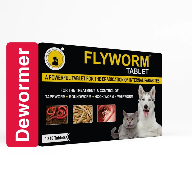 Flyworm Tablets for Deworming-10tablets - Healthcare & Medical by Kapil Pharma