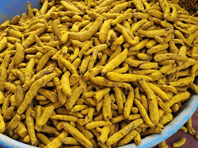 Sun Dried Turmeric Powder - Food & Agriculture by Hadoti Fresh Foods LLP