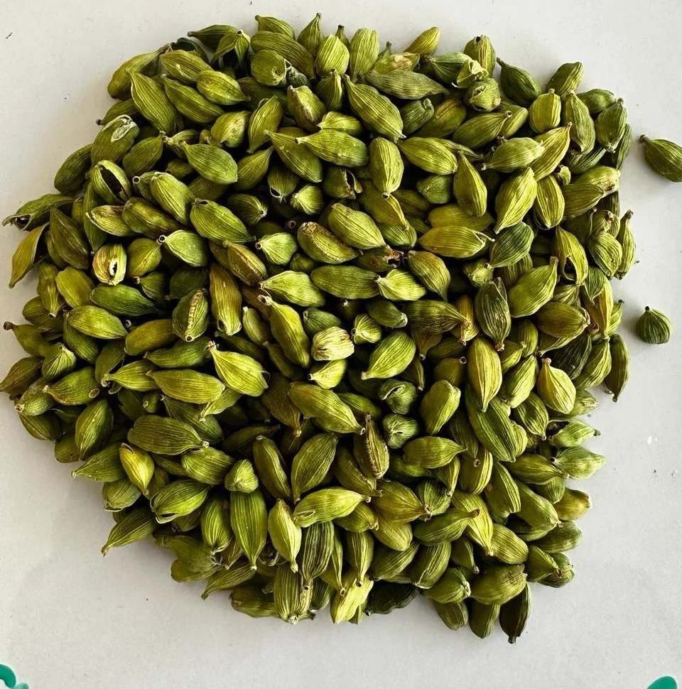 Whole Green Cardamom 5mm-6mm - Food & Agriculture by Ksar Inforcement (OPC) Pvt. Ltd.