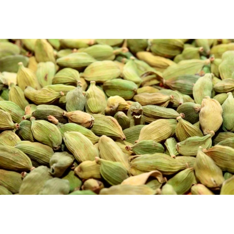 Green Cardamom Bulk Supplier - Food & Agriculture by Iraj Spices