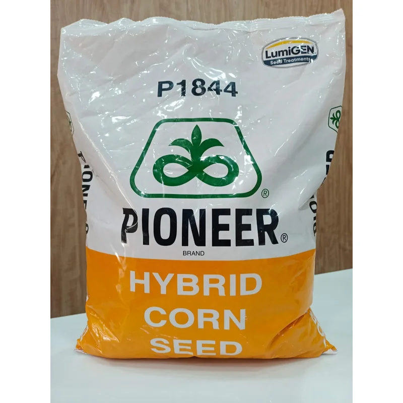 Pioneer P1844 Hybrid Corn Seed - Food & Agriculture by Chaman Lal Raj Kumar