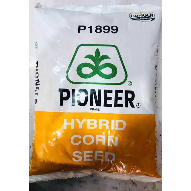 Pioneer P1899 Hybrid Corn Seed 4 KG - Food & Agriculture by Chaman Lal Raj Kumar