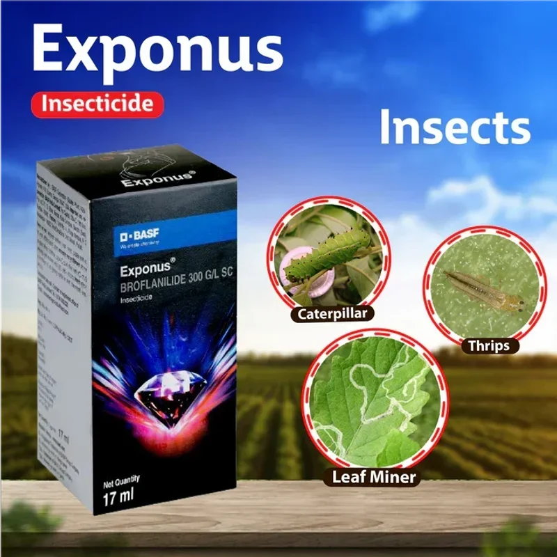Basf Exponus Broflanilide 300 Gl Sc Insecticide - Food & Agriculture by Chaman Lal Raj Kumar