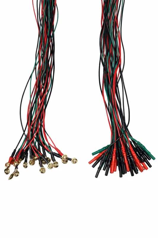 Disposable Gold Cup EEG Electrodes - Healthcare & Medical by R.S. Enterprises