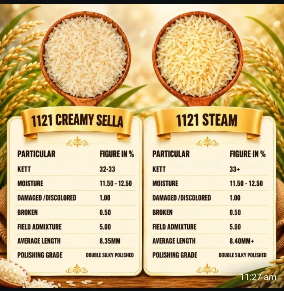 1121 Creamy Sella Rice - Food & Agriculture by The Indian Universal EXIM