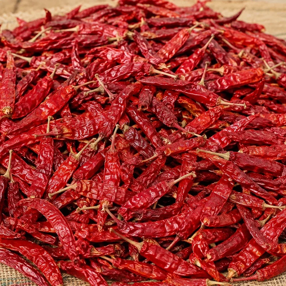 Bulk Dry Red Chillies - Food & Agriculture by PranExpo