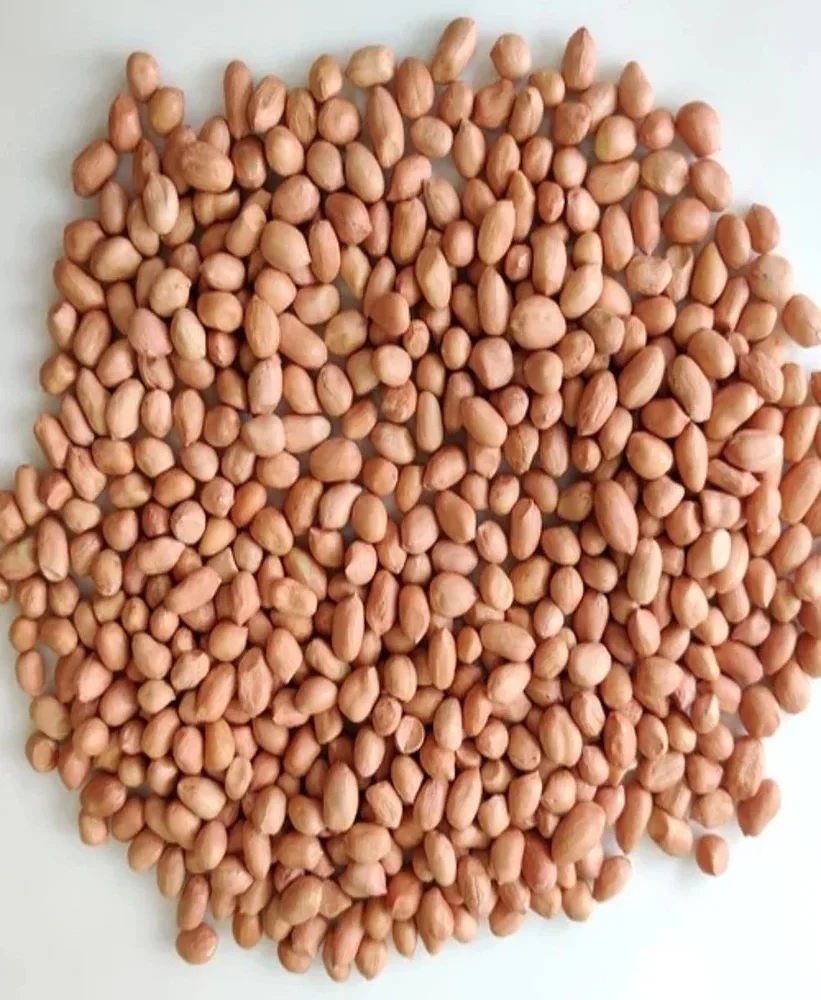 Java Peanut Kernel - Food & Agriculture by Ali Agri Export