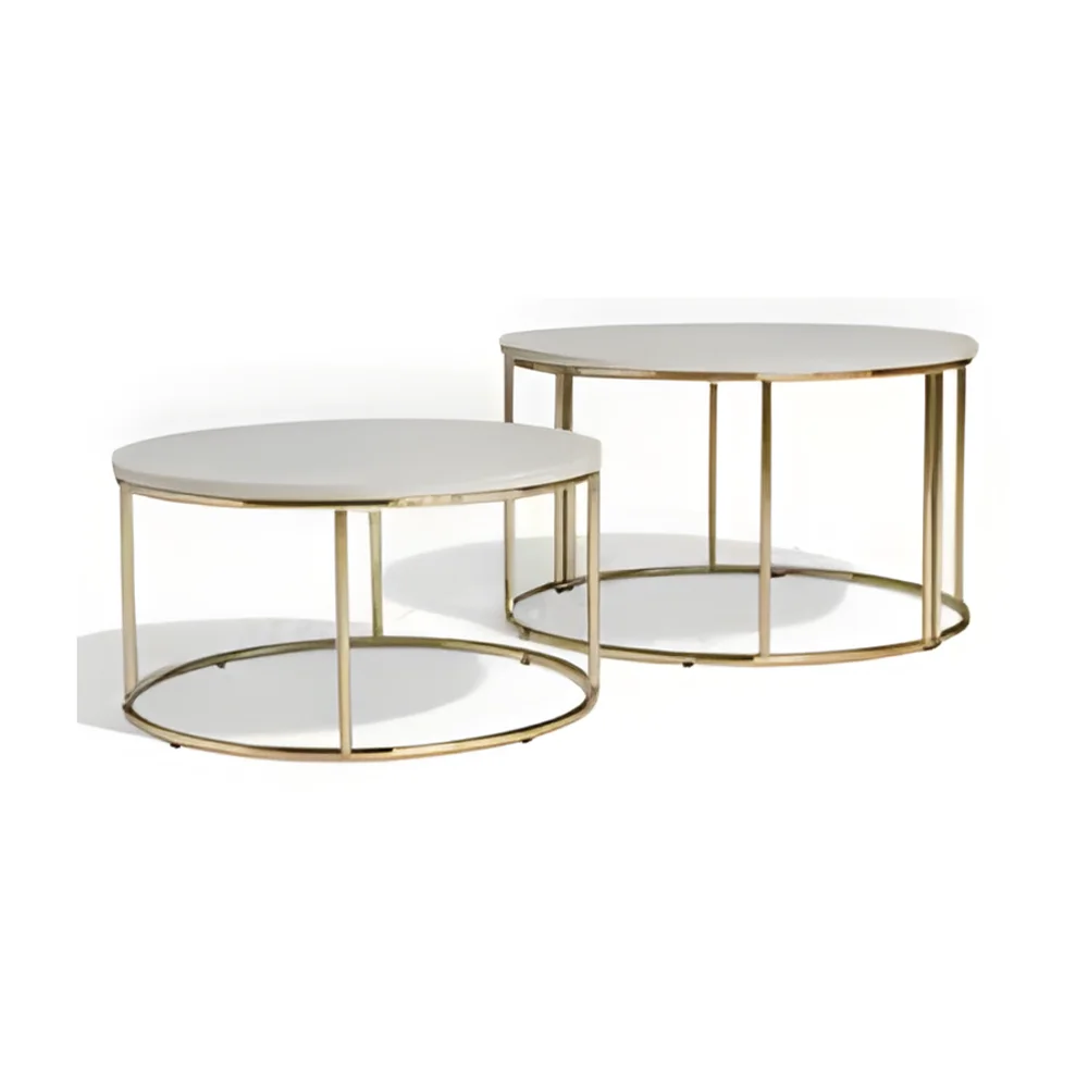 Stainless Steel Center Table - Furniture & Interiors by Shree Badri Engg Works