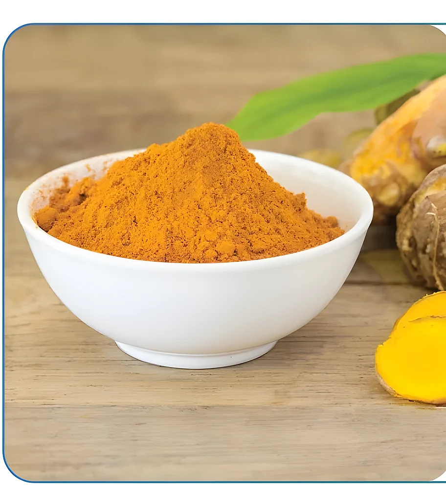 95% Curcuminoids Turmeric Extract Powder - Chemicals & Raw Materials by M/S. Riverline Lifesciences & Herbals Pvt. Ltd.