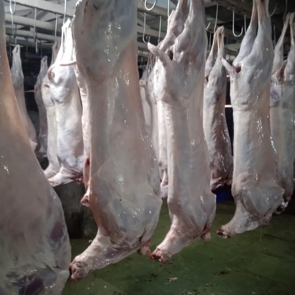 Raw & Marinated Meat Carcasses - Food & Agriculture by Al Tayyebaat Foods Pvt. Ltd.