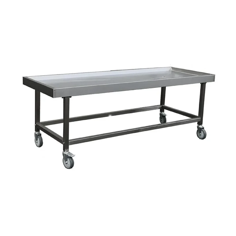 Corpse Dissection Trolley - Healthcare & Medical by Sterifag India Pvt. Ltd.