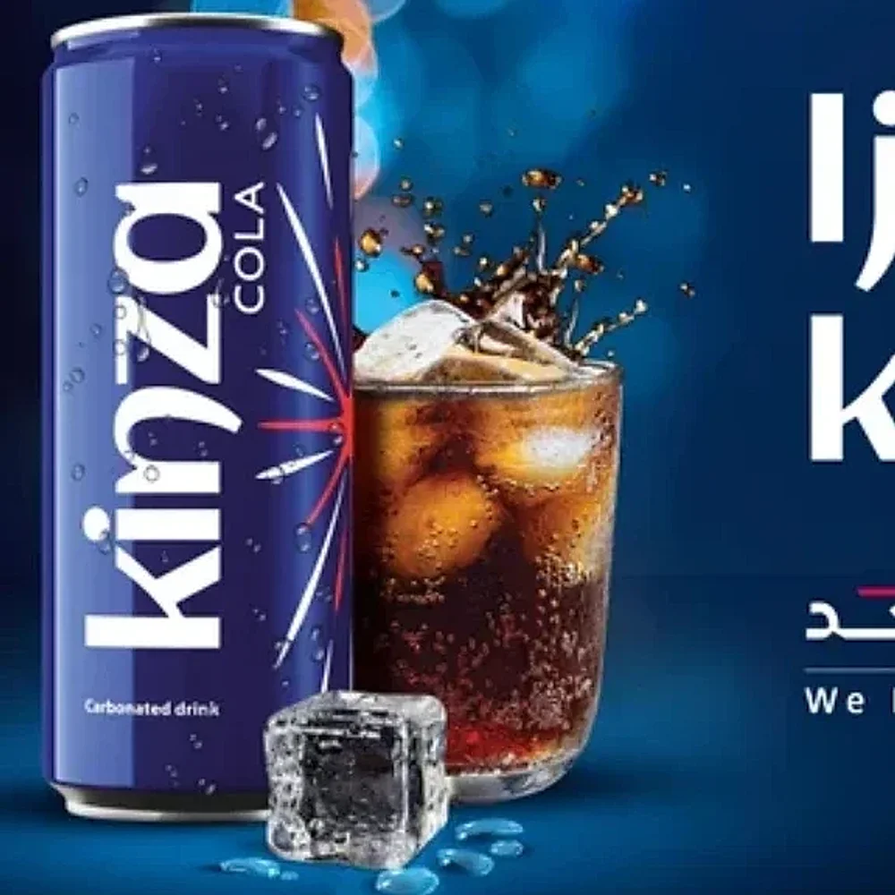 Kinza Cola Carbonated Soft Drink Can 250 ml - Food & Agriculture by Bazentica Pvt. Ltd.