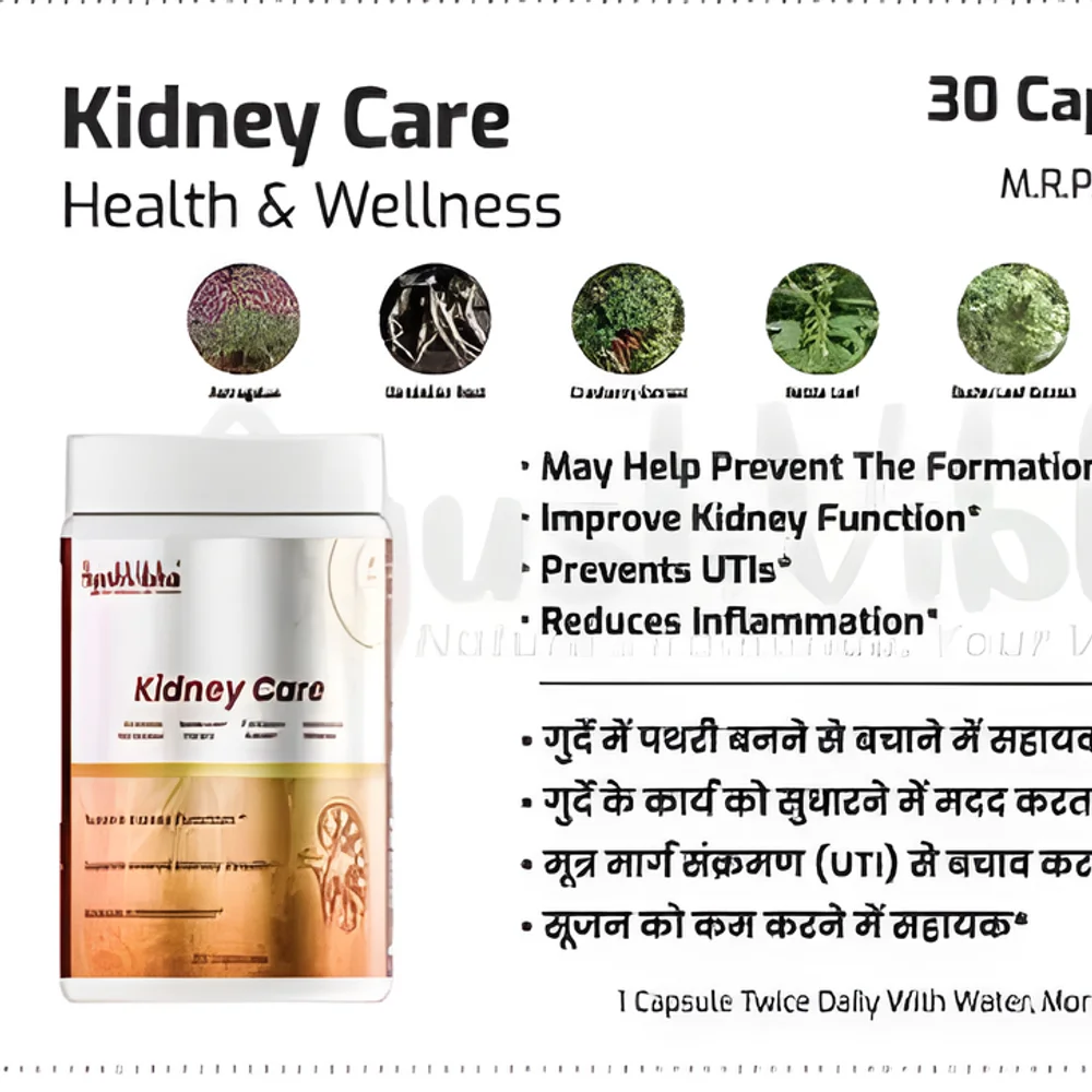 Astragalus Dandelion Root Cranberry Nettle Leaf Gokshura Turmeric Curcuma Capsules - Healthcare & Medical by JM Global Exports