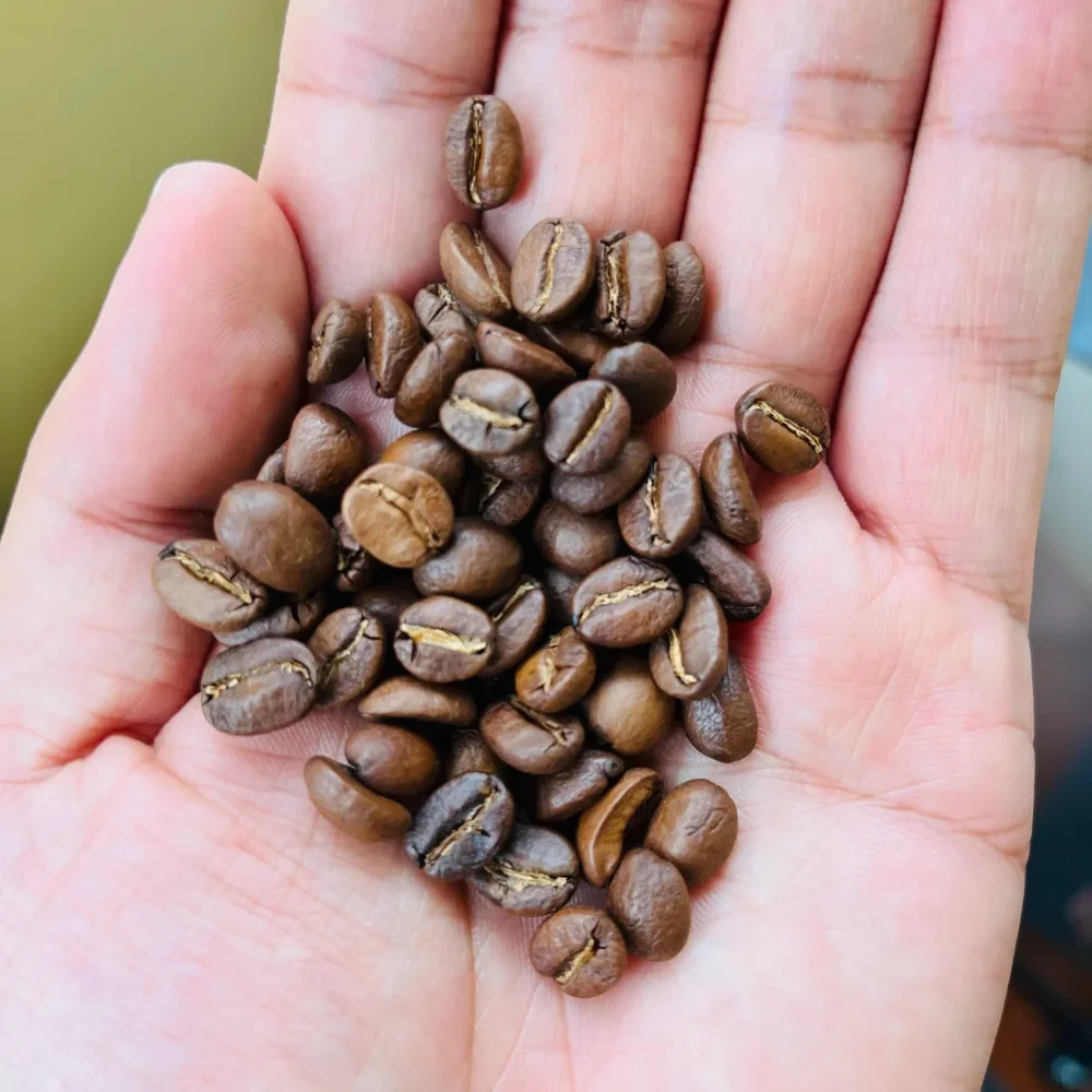 Roasted Coffee Beans – Arabica Plantation Aa (Medium to Dark Roast) - Food & Agriculture by Naadra LLP