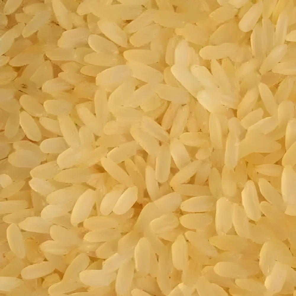 Parboiled Rice for Bulk Supply - Food & Agriculture by Vertex Exporters