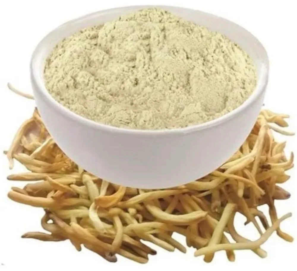Safed Musli Powder - Food & Agriculture by Sakha Exporter