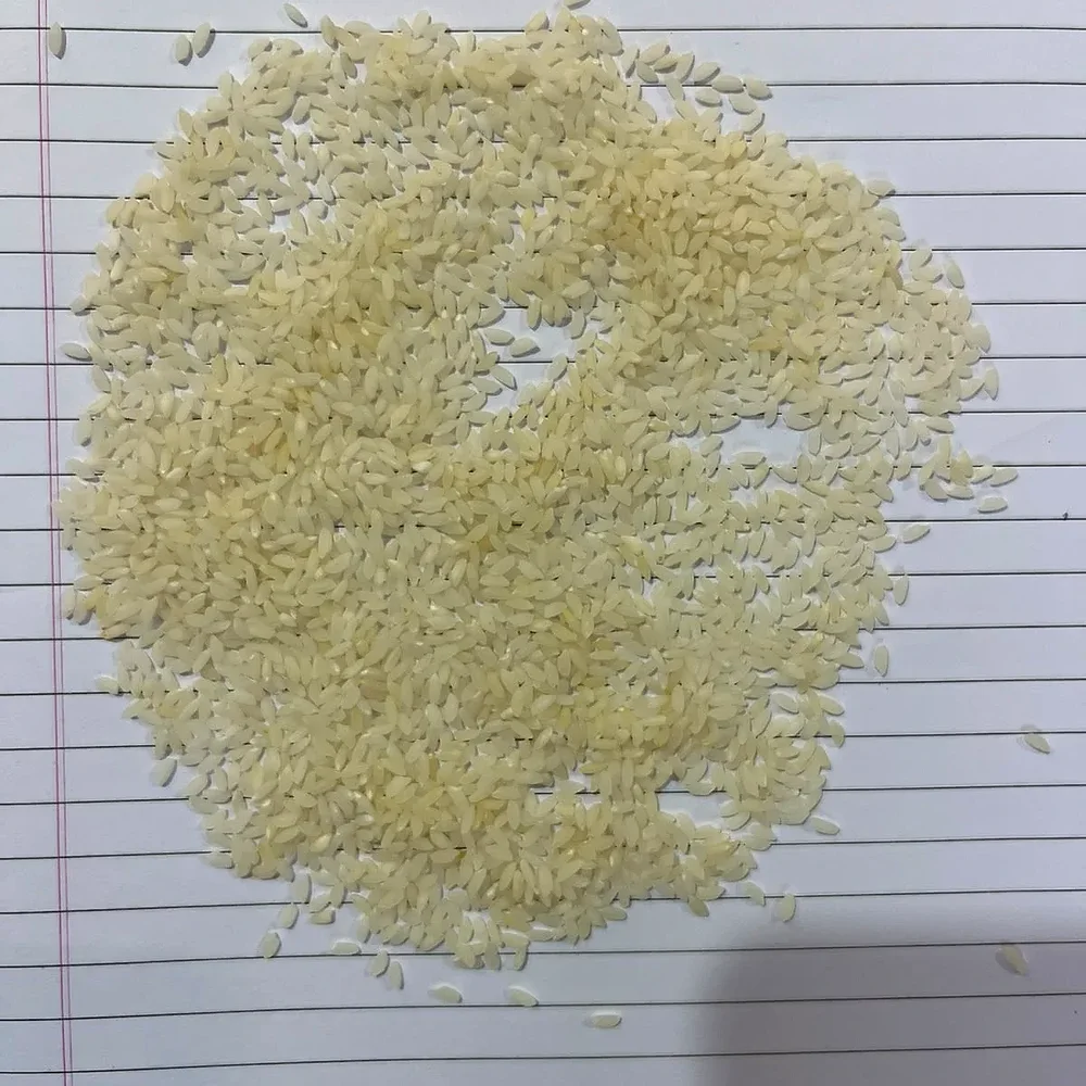 Gobindobhog Rice Bulk Supply - Food & Agriculture by Deltaa Export