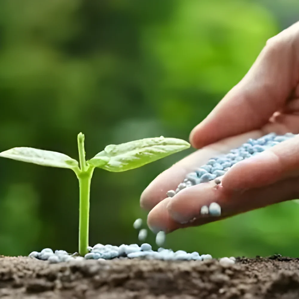 Eco-Friendly Biofertilizers - Food & Agriculture by Shree Ram Manufacturing and Consultancy