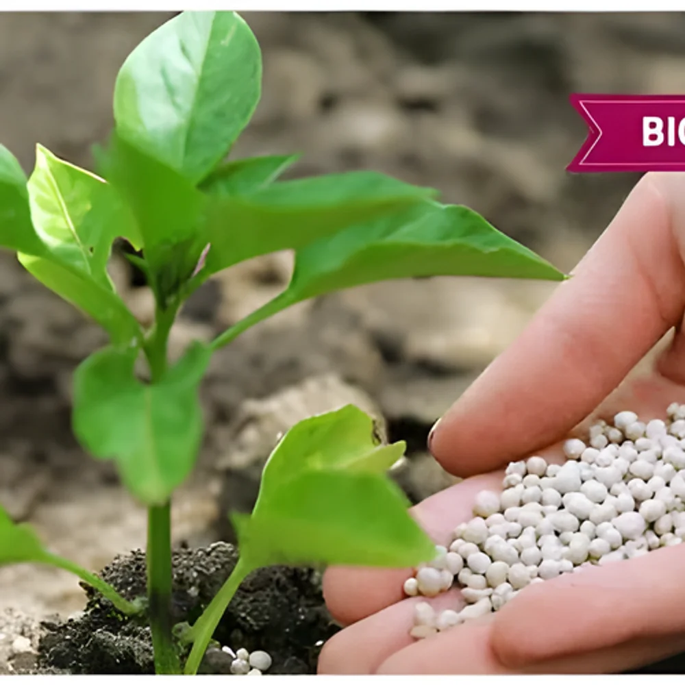 Eco-Friendly Biofertilizers - Food & Agriculture by Shree Ram Manufacturing and Consultancy