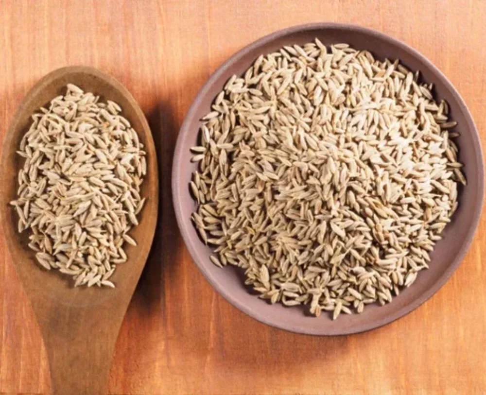 Whole Cumin Seeds Singapore 99% - Food & Agriculture by Silasya Fusion Pvt. Ltd.