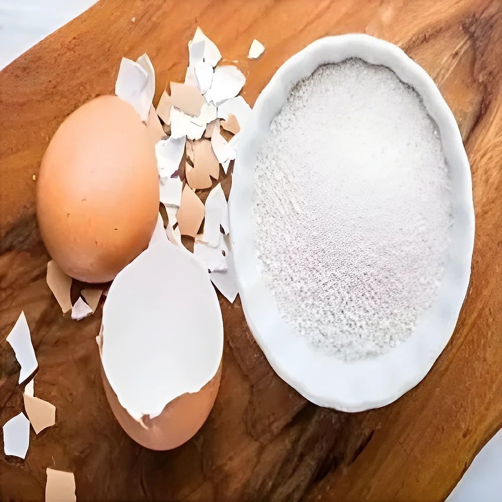 Pure Egg Shell Powder - Chemicals & Raw Materials by Shri Vinayaga Traders