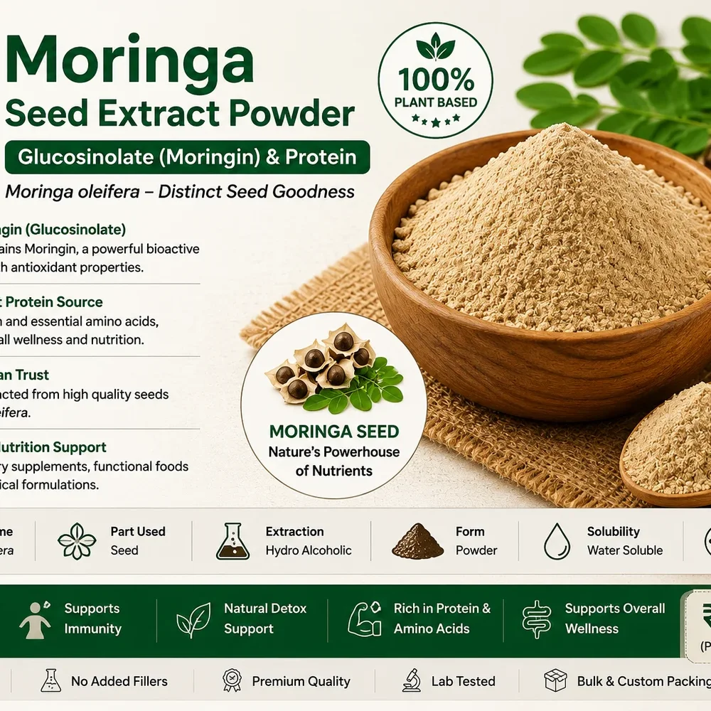Moringa Oleifera Seed Extract Powder - Chemicals & Raw Materials by Central Trade Agency Pvt. Ltd.