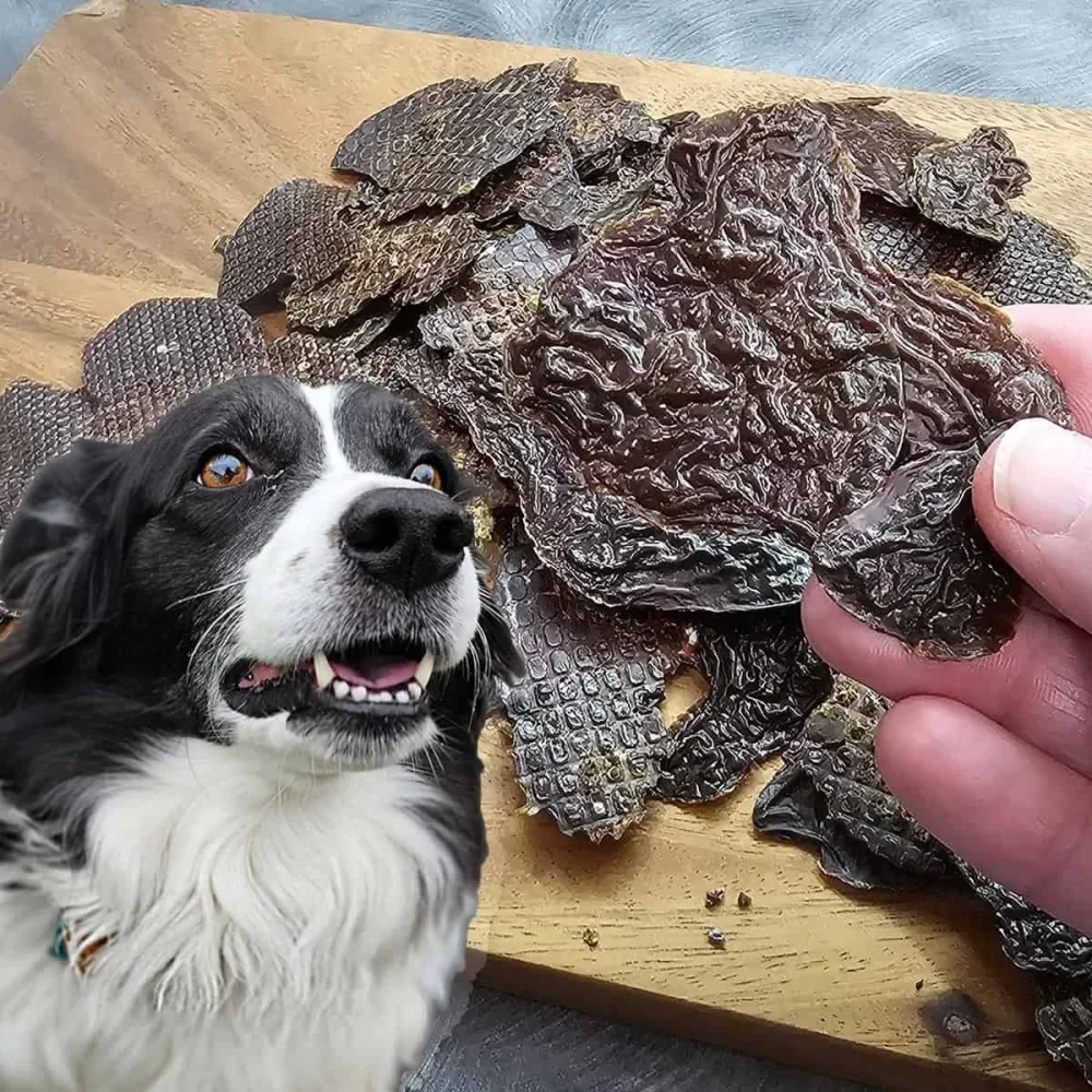 Dehydrated Chicken Liver - Food & Agriculture by Vee Gee Enterprises