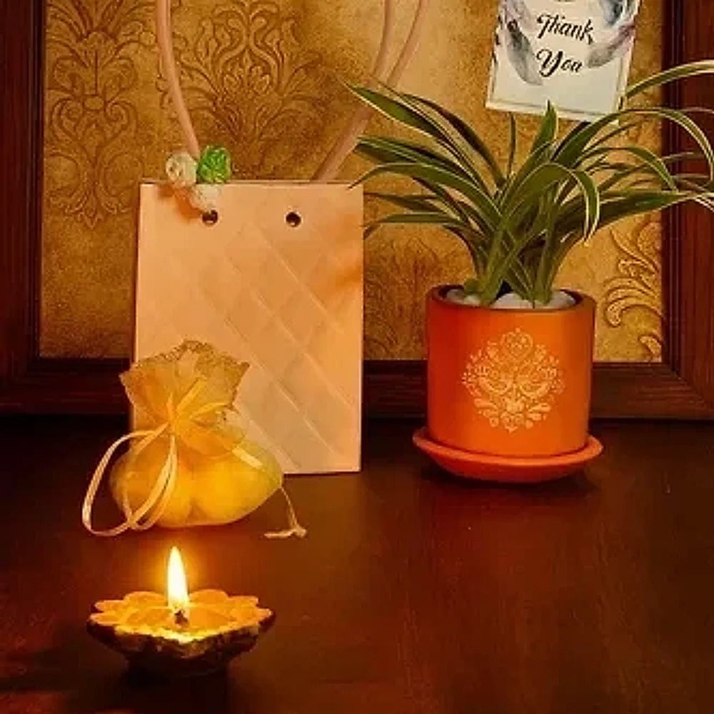 Terracotta Indoor Plant Gift Set - Home & Kitchen by Cerra and Terra Home Decor