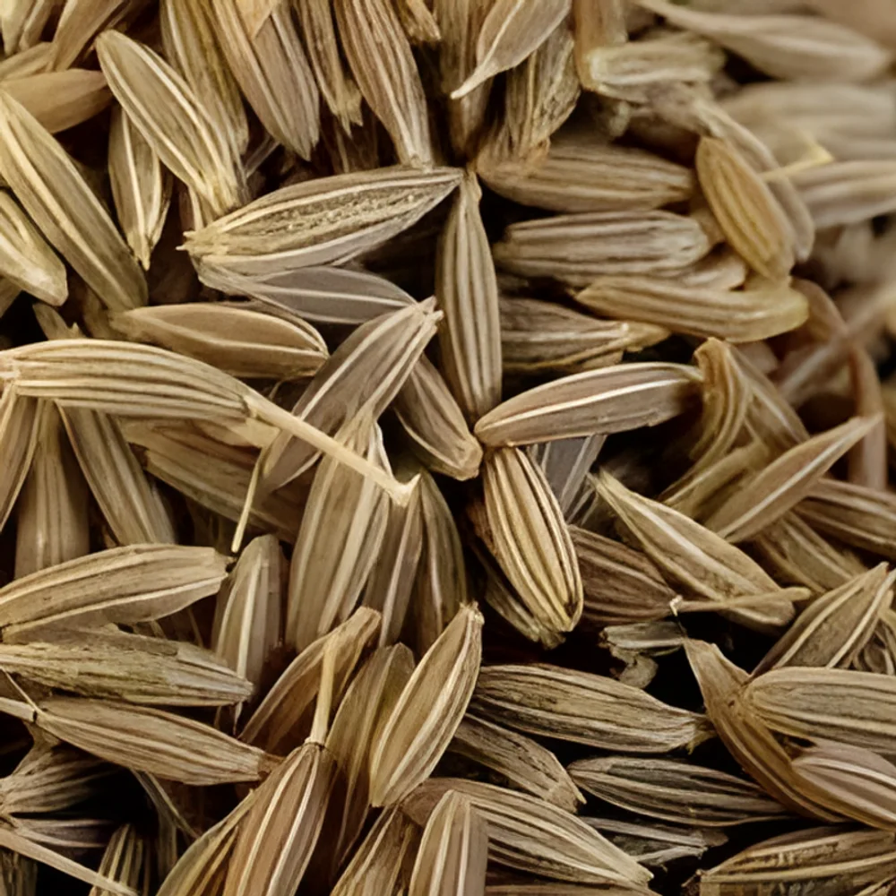 Bulk Cumin Seeds - Food & Agriculture by Babulal Govindbhai Patel