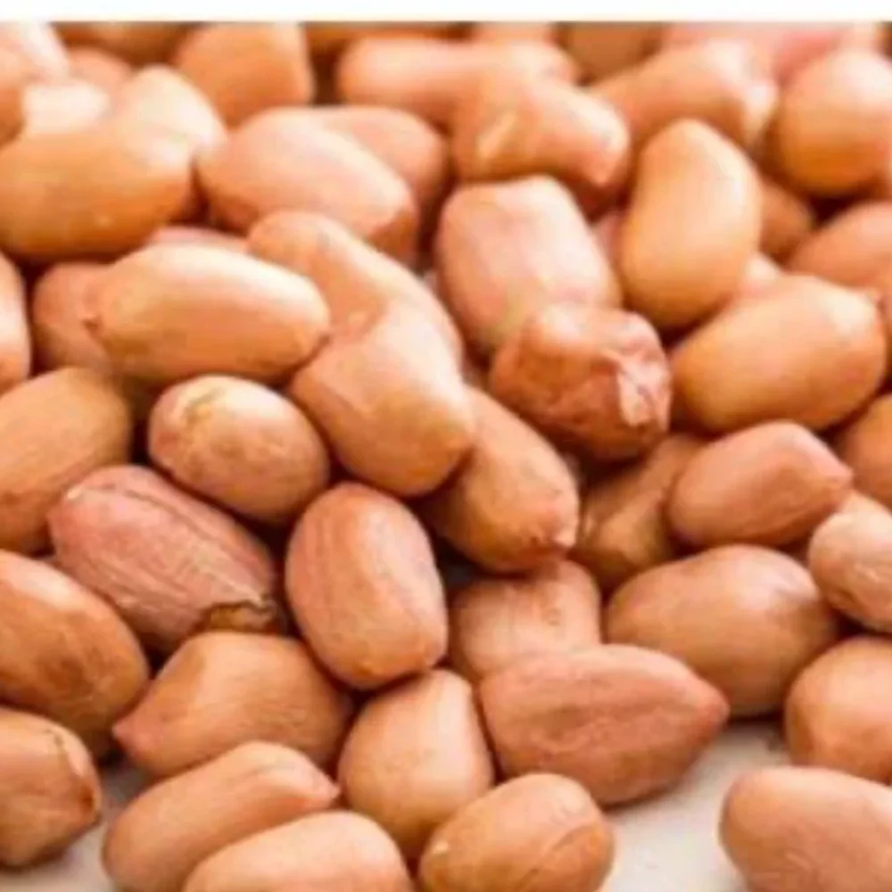 Bulk Blanched Shelled Peanuts - Food & Agriculture by Parth Agroworld