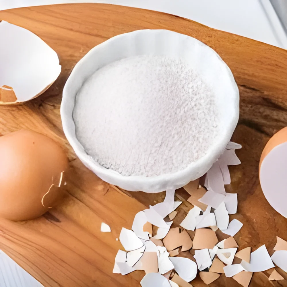 Grade A Egg Shell Powder - Food & Agriculture by Shri Vinayaga Traders