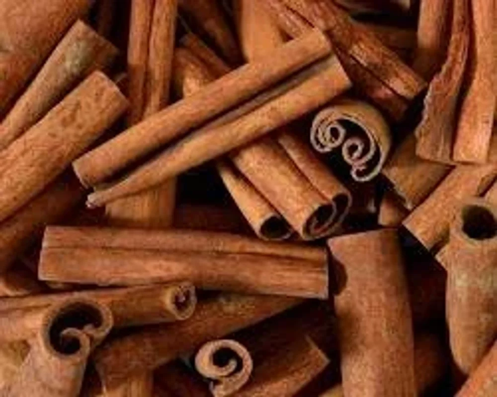 Bulk Cinnamon Sticks - Food & Agriculture by PranExpo