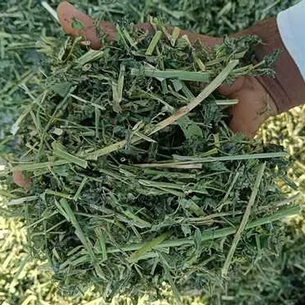 Alfalfa Powder Fodder - Food & Agriculture by JD Tech Industries