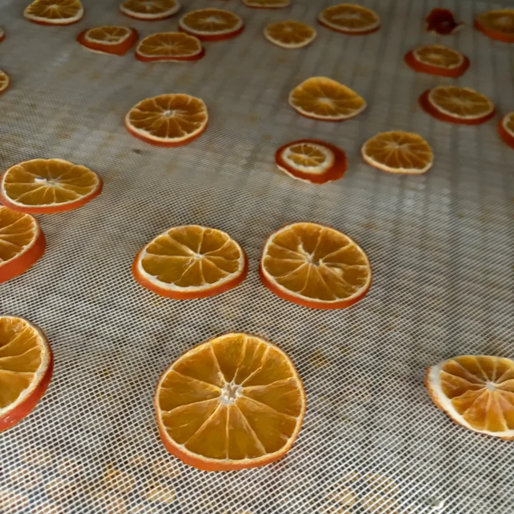Dehydrated Orange - Slices / Powder - Food & Agriculture by Agriessence Enterprises Pvt. Ltd.
